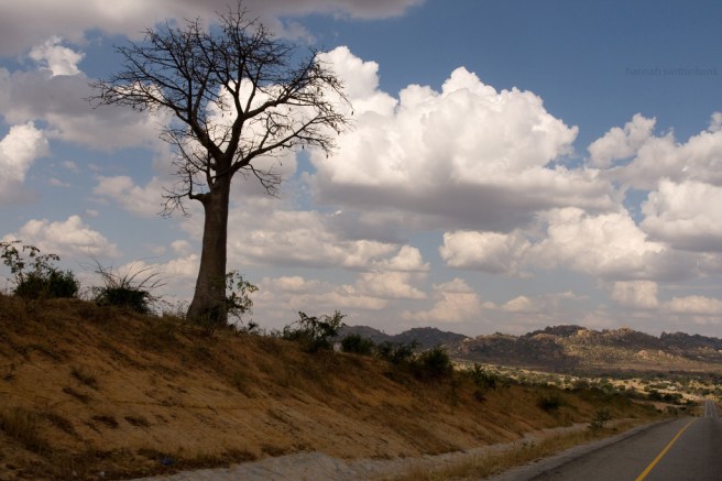 5406544157_b9539c467f_b