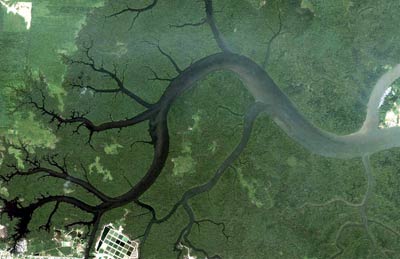 Fractals from orbit: Kuching delta, Malaysia. See more. Credit: Paul Bourke.