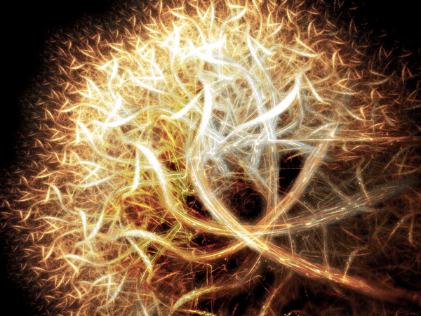 'Fractal Tree' by Second Harvest