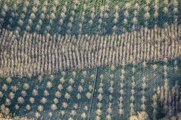 Aerial photograph by Klaus Leidorf.